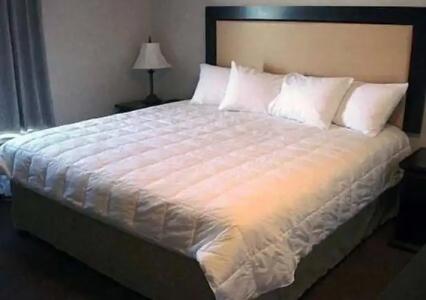 Quality Inn & Suites - 42