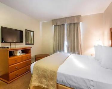 Quality Inn & Suites - 12