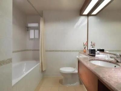 Concorde Shah Alam - 42