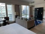 Executive Double Studio Apartment with balcony