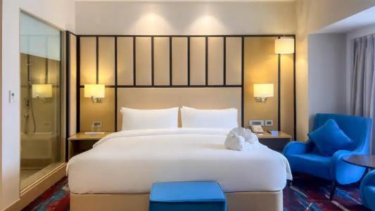 Radisson Kathmandu - 83