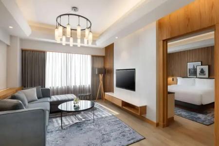 Radisson Kathmandu - 18