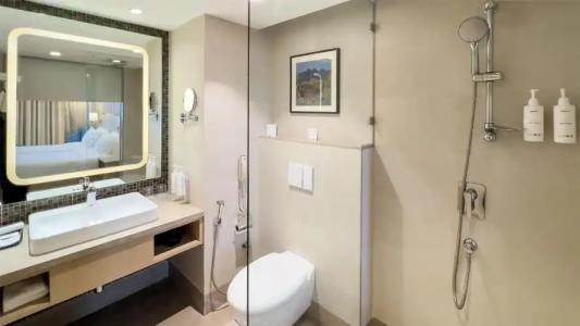 Radisson Kathmandu - 74