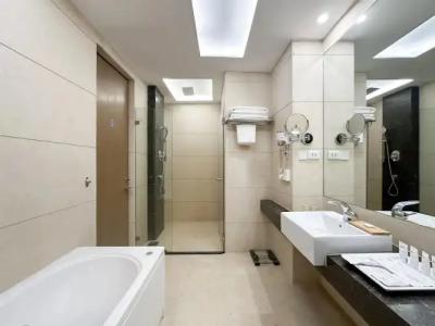 Radisson Kathmandu - 90