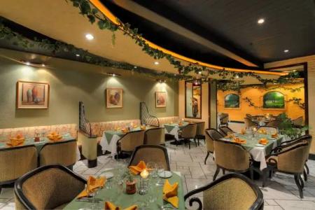 Radisson Kathmandu - 14