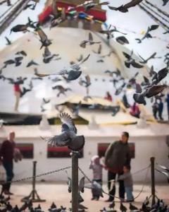 Hyatt Regency Kathmandu - 4