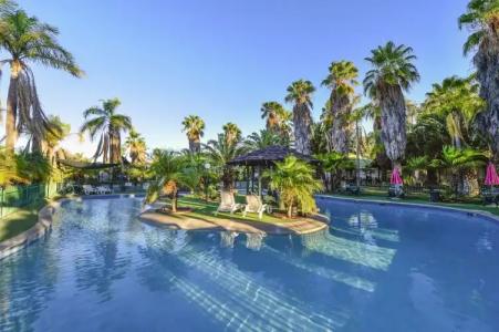 Desert Palms Alice Springs - 36