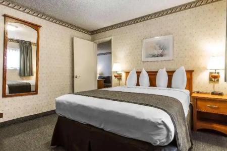 Quality Inn & Suites Santa Clara - 54