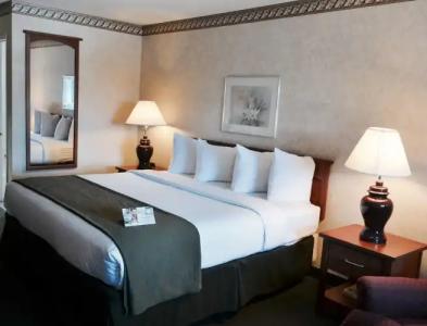 Quality Inn & Suites Santa Clara - 42