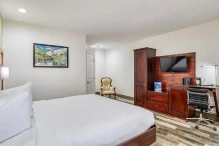 Villa 1565 - Saint Augustine - 45