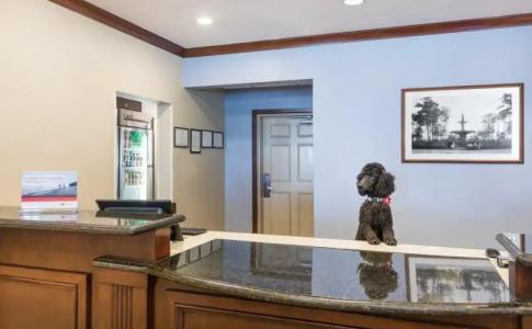 Staybridge Suites Savannah Historic District, an IHG - 20