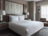 Executive Double Suite