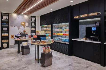 The Ritz-Carlton, Lake Tahoe - 35