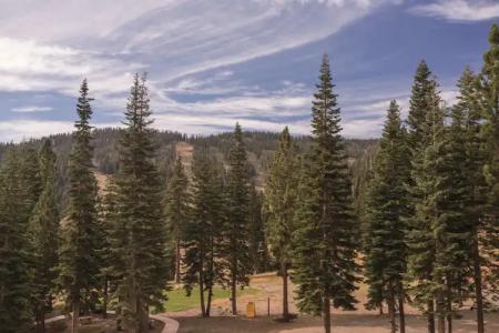 The Ritz-Carlton, Lake Tahoe - 46