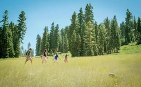 The Ritz-Carlton, Lake Tahoe - 21