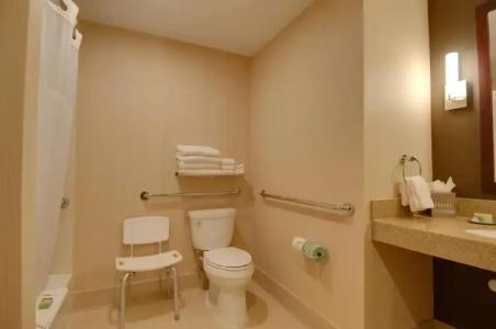 Best Western Plus Truckee-Tahoe - 10