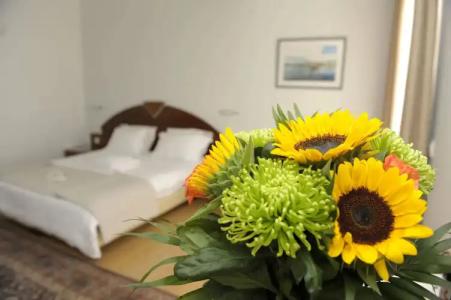 Preveza City Comfort - 11