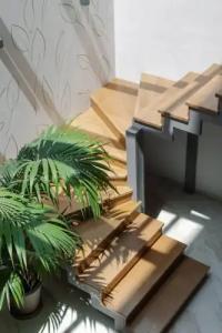Preveza City Comfort
