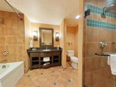 Hilton Santa Fe Buffalo Thunder - 9