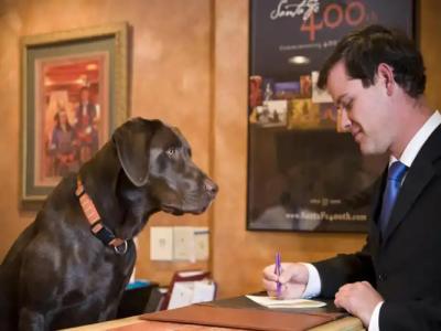 The Hacienda & Spa - 15