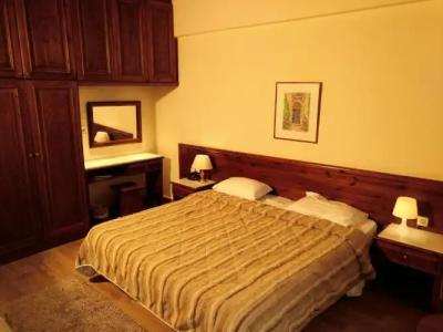 Domotel Anemolia Mountain Resort - 47