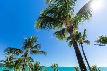 Coral Sea Marina Resort - 114