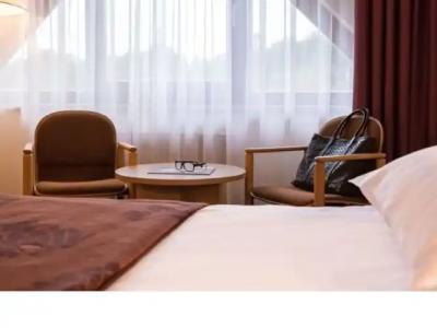 Mercure Jelenia Gora - 105