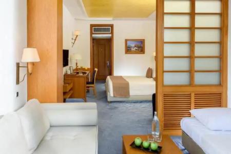 Alexander Beach & Spa - 57