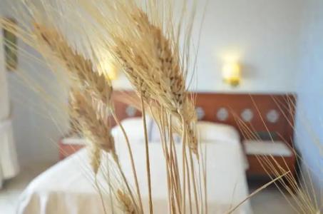 Evilion Sea And Sun - 61