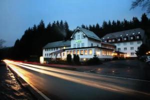 Hotel Rodebachmühle, Tambach-Dietharz