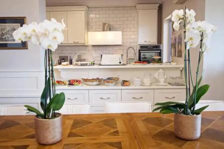 Agnantia Bed & Breakfast - 20