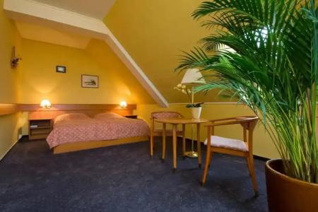 Thermal Mosonmagyarovar - 17