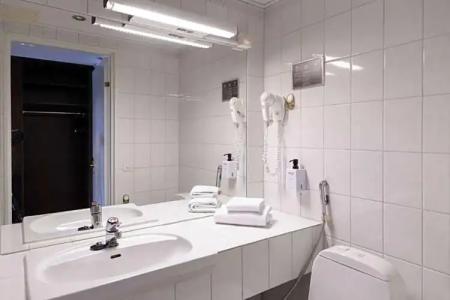 Scandic Aulanko - 53