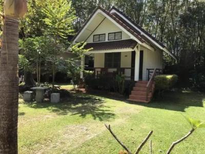 Lanta Manda Resort SHA Plus - 58