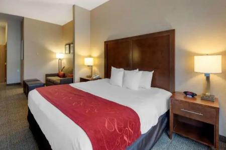 Comfort Suites Anchorage International Airport - 54