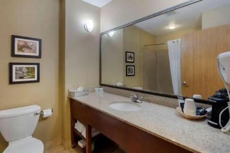 Comfort Suites Anchorage International Airport - 71