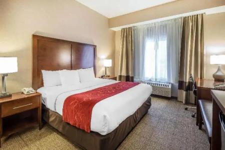 Comfort Suites Anchorage International Airport - 43