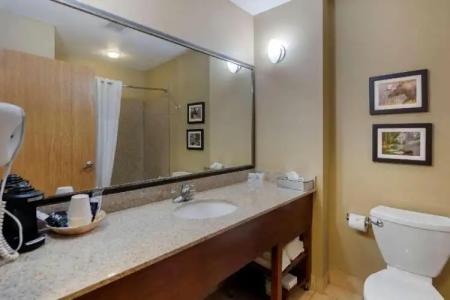 Comfort Suites Anchorage International Airport - 67