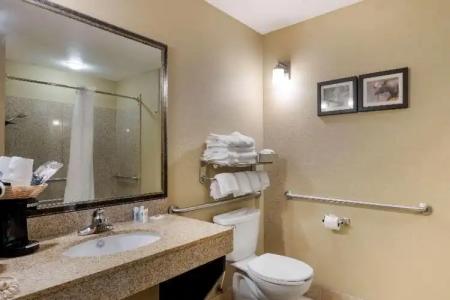 Comfort Suites Anchorage International Airport - 65
