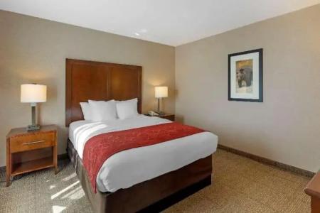 Comfort Suites Anchorage International Airport - 69