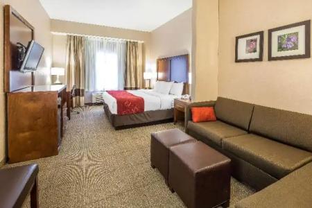 Comfort Suites Anchorage International Airport - 39