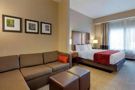 Comfort Suites Anchorage International Airport - 4