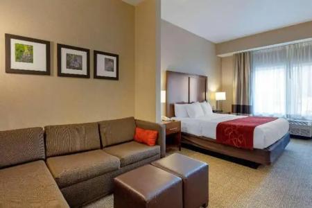 Comfort Suites Anchorage International Airport - 45
