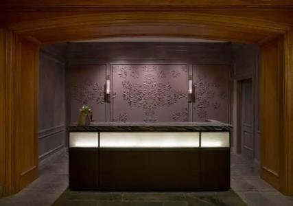 St. Regis Aspen Resort - 19