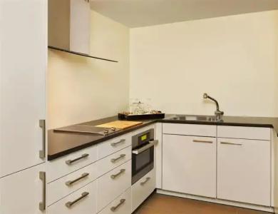 St. Regis Aspen Resort - 38