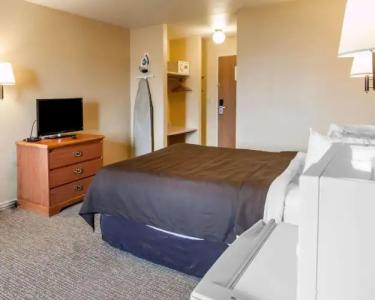 Quality Inn Airport - 25