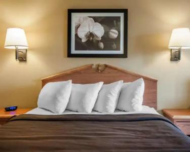 Quality Inn Airport - 33