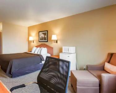 Quality Inn Airport - 29