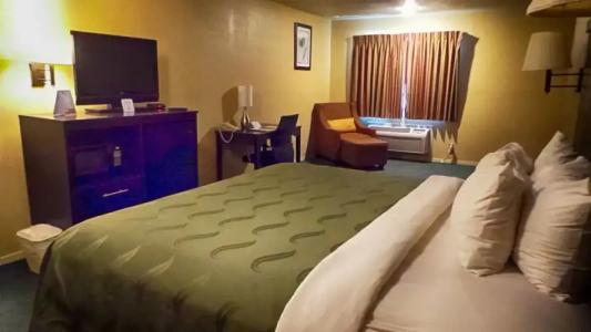 Quality Inn Airport - 49