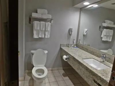 Holiday Inn Express Cleveland Downtown, an IHG - 36